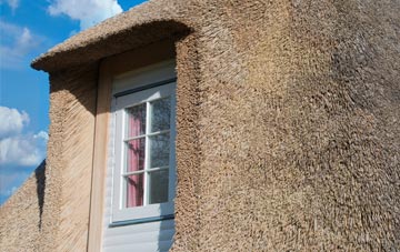 Hove Edge thatch roof disadvantages