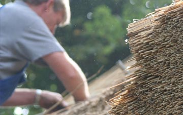 professional Hove Edge thatchers